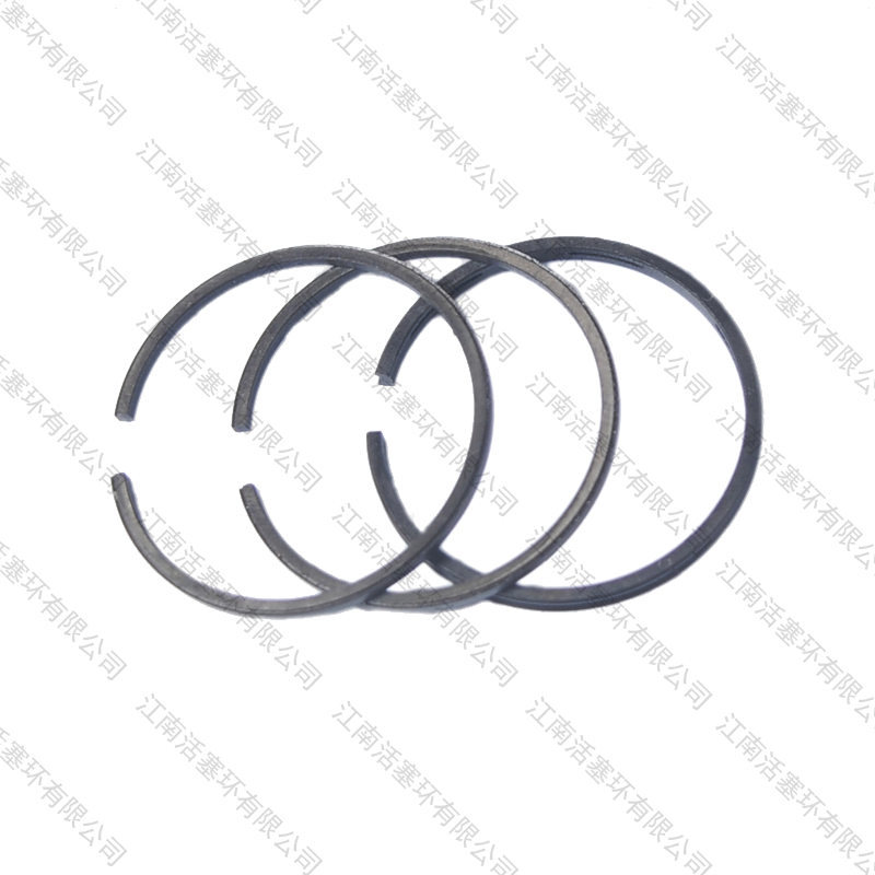 打樁機(jī)活塞環(huán)